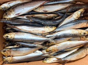 Кальмар со вкусом краба 